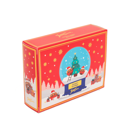 Snow Globe Rectangle Box (150g)
